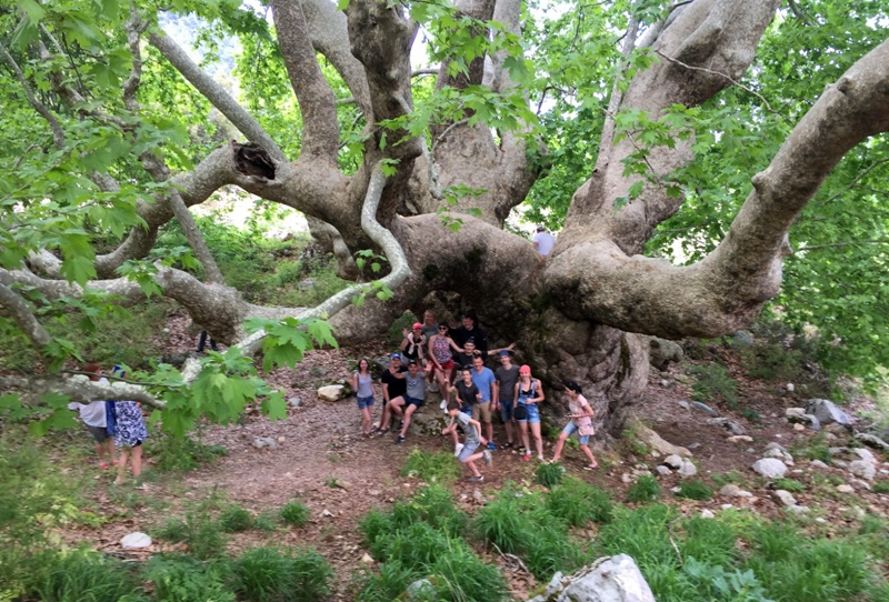 Jeep Safari From Kemer